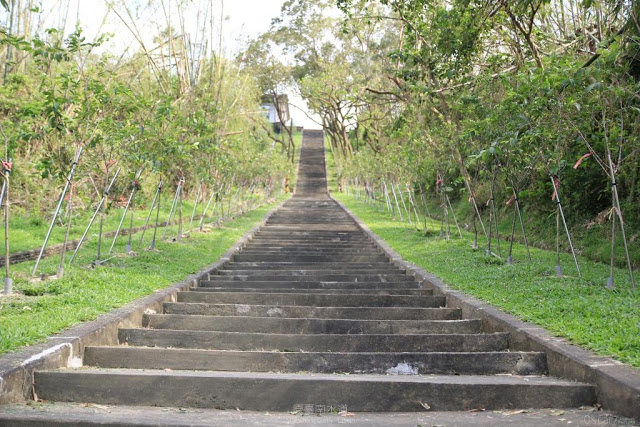 原台南水道-淨水池區-2