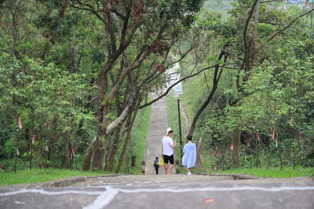原台南水道-淨水池區-32