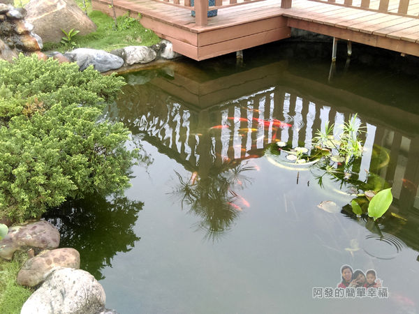 好客三星民宿26-景觀魚池