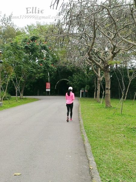 12794641_937198083067512_6155870681313513173_n