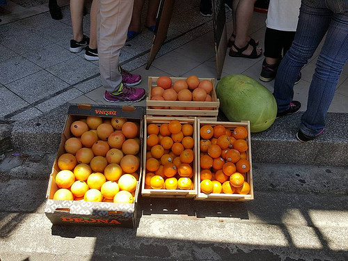 13466032_320848801579509_1325275117713159905_n