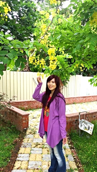 台南白河斗笠公園：【台南景點】台南白河斗笠公園~詔安社區金黃色阿勃勒