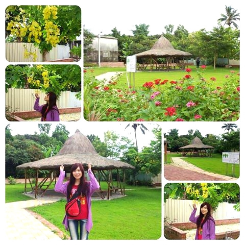 台南白河斗笠公園：【台南景點】台南白河斗笠公園~詔安社區金黃色阿勃勒