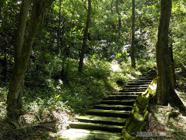 三峽白雞行脩宮22-再往上之登山步道