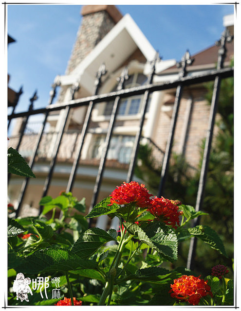 厚醍料理ROTI:【新竹 美食】厚醍料理ROTI