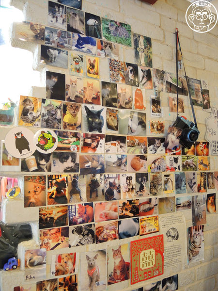 貓圖咖啡 CAT. jpg cafe:呷飽祙【台北大安・貓圖咖啡】親近人的店貓和好吃輕食