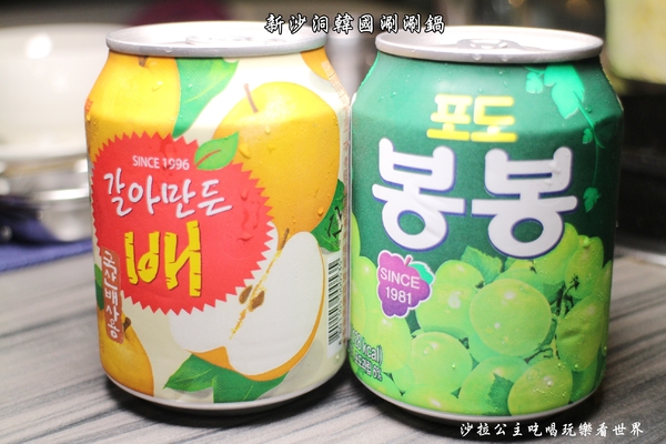 新沙洞韓國涮涮鍋:東區涮涮鍋『新沙洞韓國涮涮鍋』韓式炸雞/人蔘雞火鍋/捷運國父紀念館站