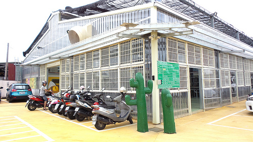 多內市集：桃園新景點~多肉市集&阿貓咖啡龍貓公車