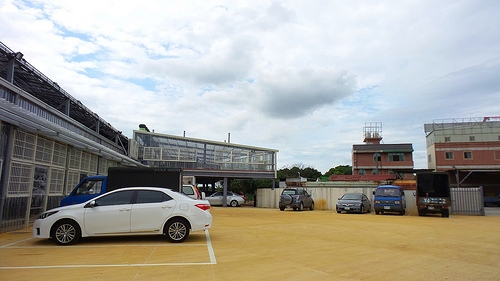 多內市集：桃園新景點~多肉市集&阿貓咖啡龍貓公車