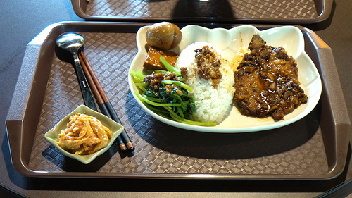 多內市集：桃園新景點~多肉市集&阿貓咖啡龍貓公車