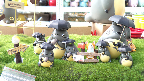 多內市集：桃園新景點~多肉市集&阿貓咖啡龍貓公車