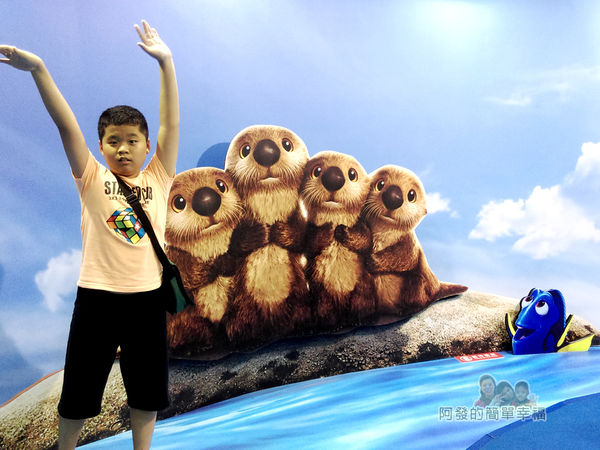 海底總動員2夏日快閃店04-水獺