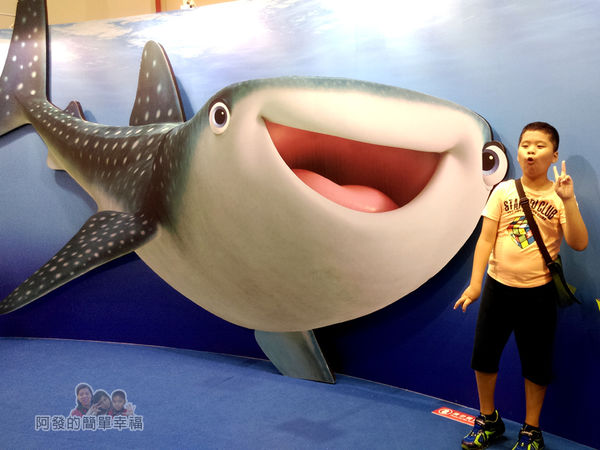 海底總動員2夏日快閃店08-命運(鯨鯊)