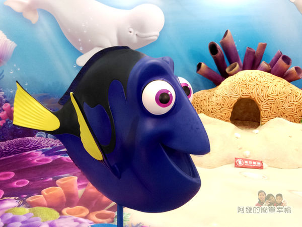 海底總動員2夏日快閃店17-多莉(擬刺尾鯛)