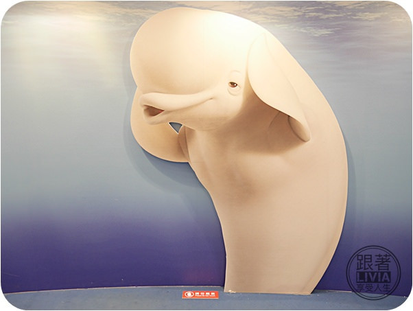 0711-海底總動員2 (6)