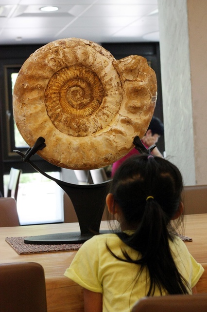 IMG_9285.JPG - 1050706石尚自然探索屋-陽明山店