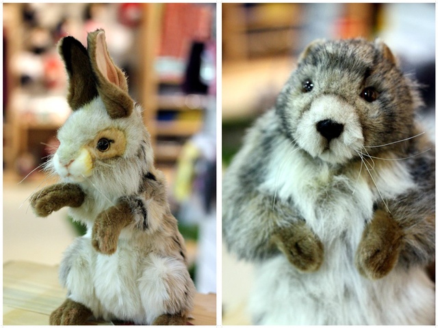 IMG_9272-horz.jpg - 1050706石尚自然探索屋-陽明山店