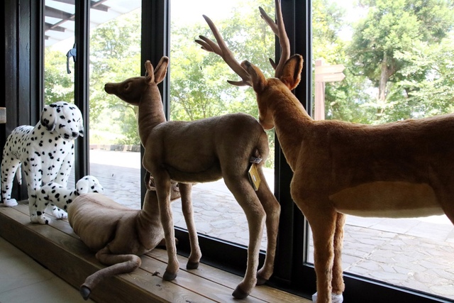 IMG_1947.JPG - 1050706石尚自然探索屋-陽明山店