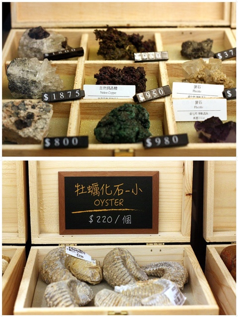 IMG_9276-vert.jpg - 1050706石尚自然探索屋-陽明山店