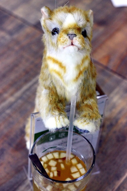 IMG_9343.JPG - 1050706石尚自然探索屋-陽明山店