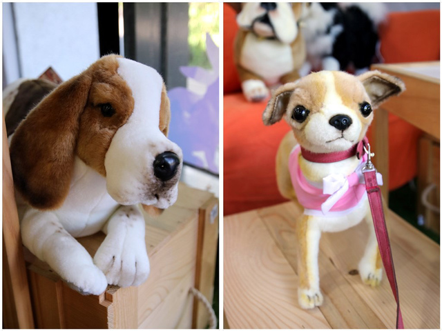 IMG_1983-horz.jpg - 1050706石尚自然探索屋-陽明山店