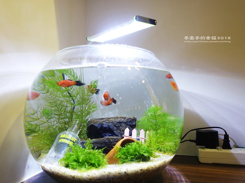 探索咖啡161114021