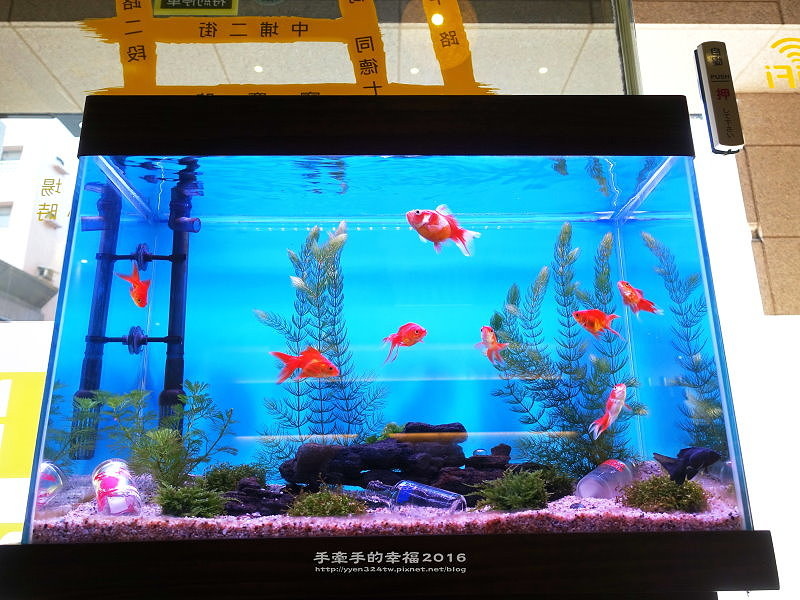 探索咖啡161114008