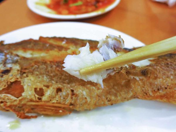 【新莊餐廳】橘之夢-熟客才知道的家庭式熱炒店