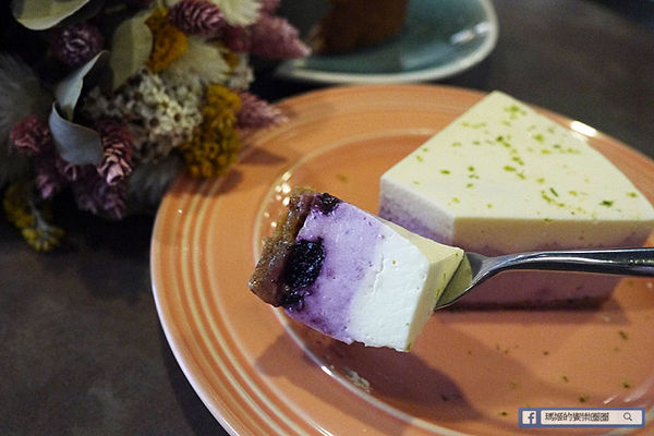 由你咖啡：◆台北松山。捷運南京三民【由你咖啡】滿室綠意～充滿文青風的咖啡館。南京三民下午茶。不限時有WIFI的咖啡館。友善寵物咖啡店