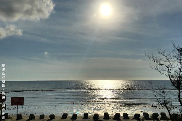 【桃園/新屋】綠色走廊