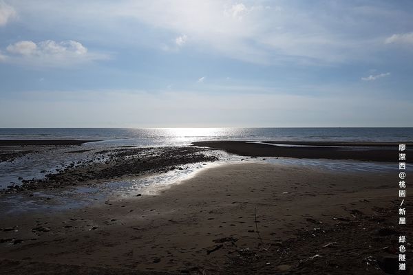 【桃園/新屋】綠色走廊