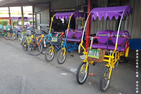 【桃園/新屋】綠色走廊