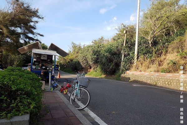 【桃園/新屋】綠色走廊