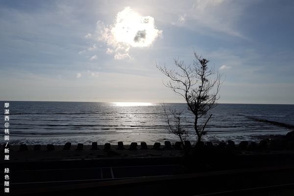 【桃園/新屋】綠色走廊