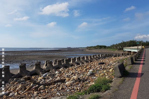 【桃園/新屋】綠色走廊