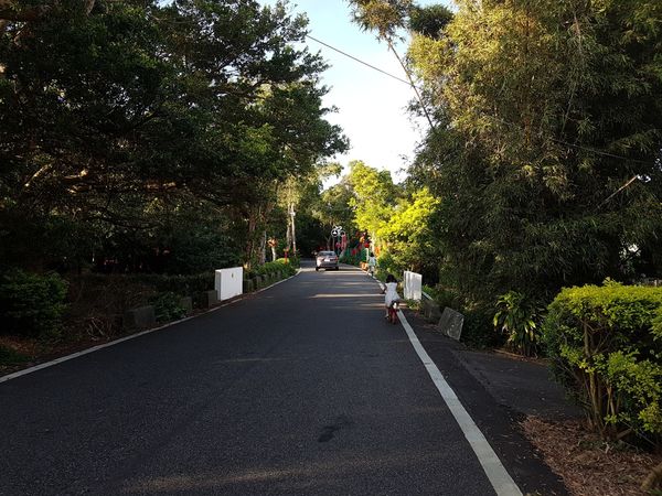 【桃園/新屋】綠色走廊