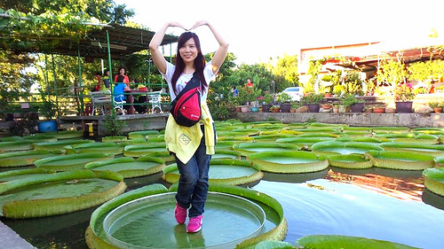康莊蓮園：【桃園景點】康莊蓮園~乘坐百來斤的大王蓮