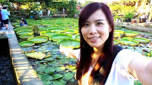 康莊蓮園：【桃園景點】康莊蓮園~乘坐百來斤的大王蓮