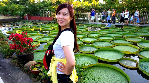 康莊蓮園：【桃園景點】康莊蓮園~乘坐百來斤的大王蓮