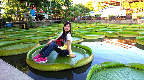 康莊蓮園：【桃園景點】康莊蓮園~乘坐百來斤的大王蓮