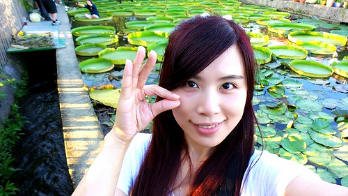 康莊蓮園：【桃園景點】康莊蓮園~乘坐百來斤的大王蓮