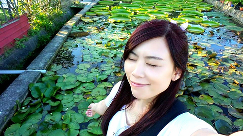 康莊蓮園：【桃園景點】康莊蓮園~乘坐百來斤的大王蓮