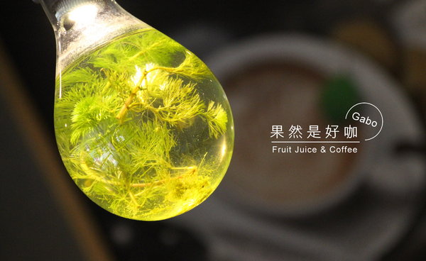 果然是好咖:【台南】果然是好咖──不會很素的平價蔬食早午餐,還有販售可愛冰淇淋哦!