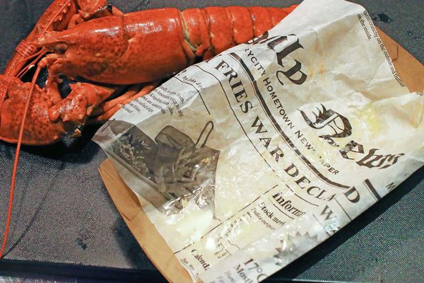 【台北美食】Le Kief 樂吉-1次吃整隻龍蝦的龍蝦三明治