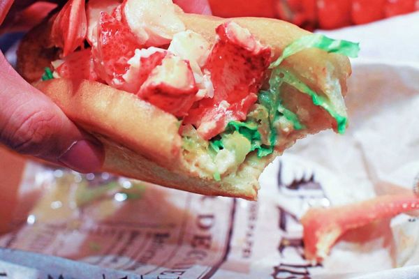 【台北美食】Le Kief 樂吉-1次吃整隻龍蝦的龍蝦三明治