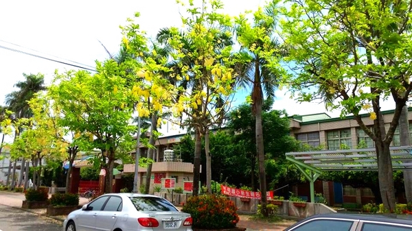 新營美術園區：【台南景點】不二良童年狂想曲~小鼠的戶外學堂~色彩繽紛的異想世界