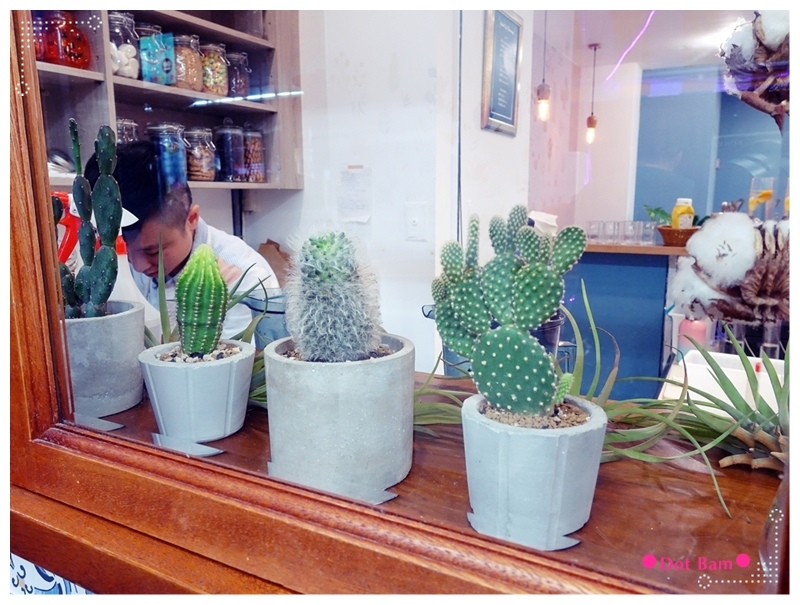 Meat Up 多肉植物.JPG