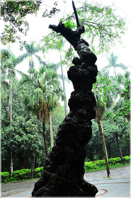 台北植物園(Taipei Botanic Garden):【臺北】中正區。臺北植物園 & 欽差行臺