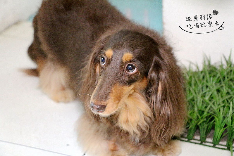 PS BUBU汽車餐廳180