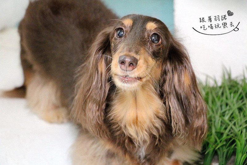 PS BUBU汽車餐廳185